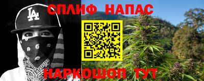 дживик Камышлов