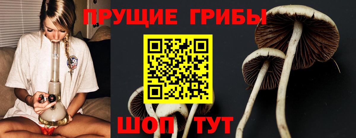 Псилоцибиновые грибы Psilocybine cubensis  Галлюциногенные грибы Magic Shrooms  Вход с VPN  Пятигорск 